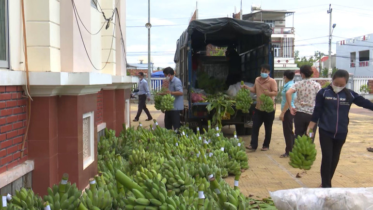 Phú Yên chung tay hỗ trợ nông dân tiêu thụ nông sản -0