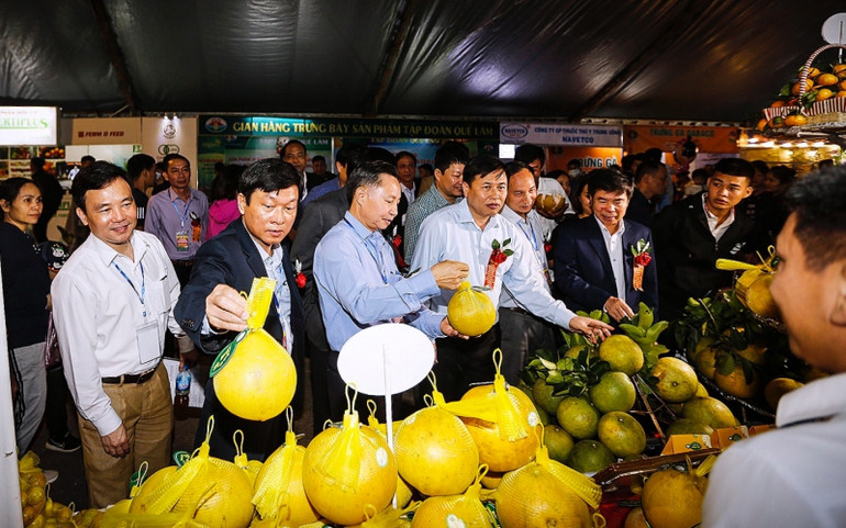 Bưởi đỏ Tân Lạc và cam Cao Phong là sản vật có uy tín của tỉnh Hòa Bình. Khai mạc “Hội chợ Nông nghiệp và triển lãm sản phẩm OCOP vùng trung du miền núi phía bắc - Tuần lễ cam Cao Phong năm 2020” -0