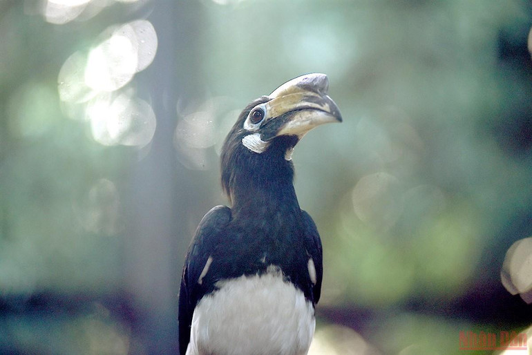 Bé vui khám phá thiên nhiên tại công viên Thủ Lệ sau giãn cách -0
