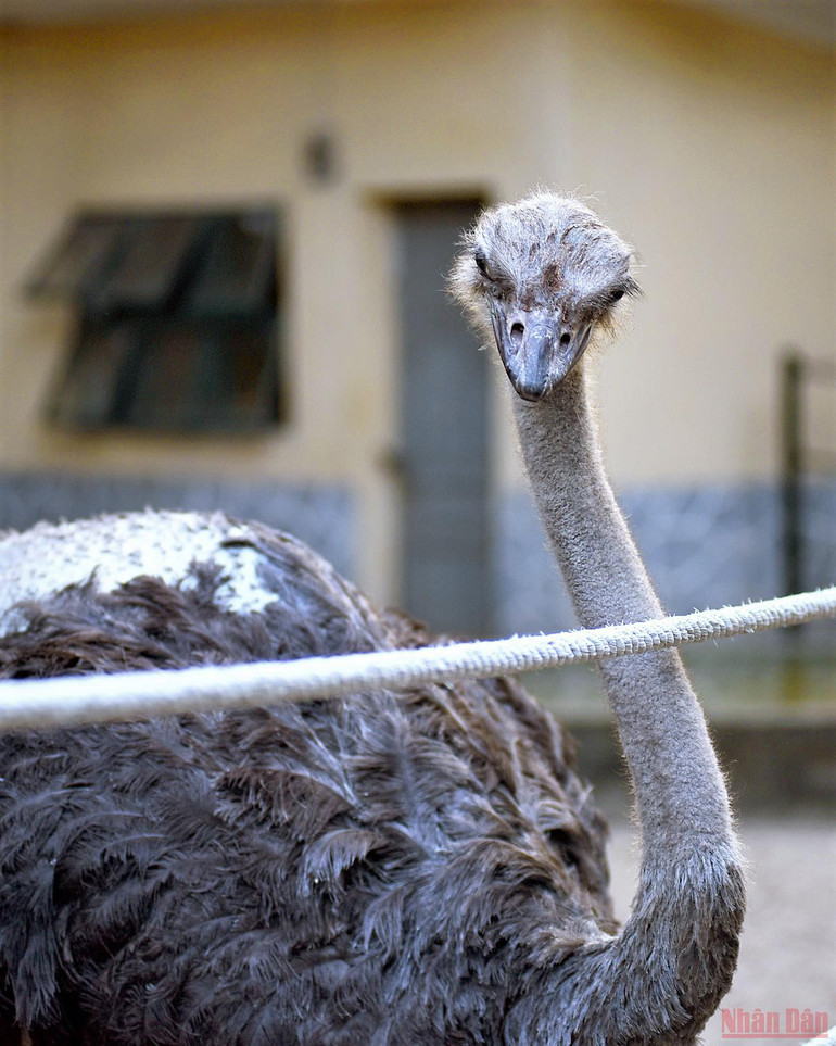 Bé vui khám phá thiên nhiên tại công viên Thủ Lệ sau giãn cách -0