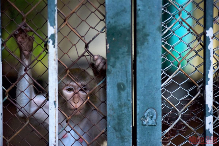 Bé vui khám phá thiên nhiên tại công viên Thủ Lệ sau giãn cách -0