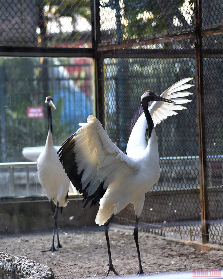 Bé vui khám phá thiên nhiên tại công viên Thủ Lệ sau giãn cách -0