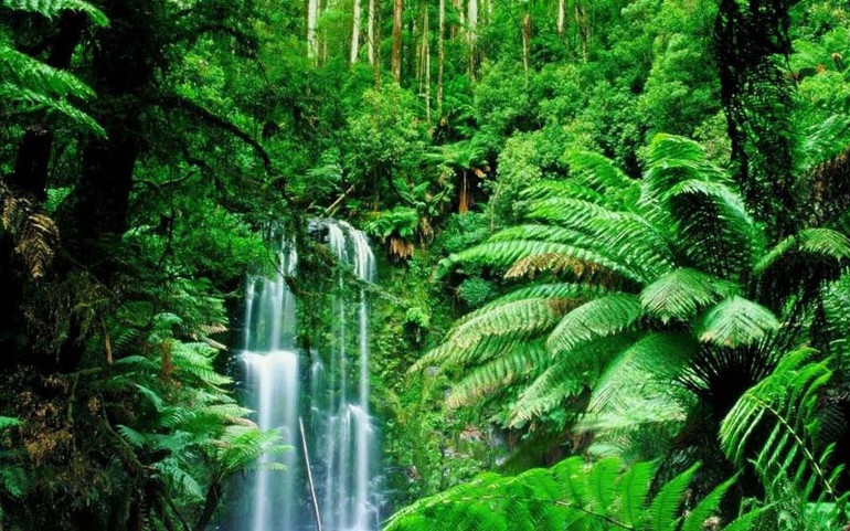 Điểm danh những khu du lịch sinh thái phù hợp trong Tết dương lịch -0