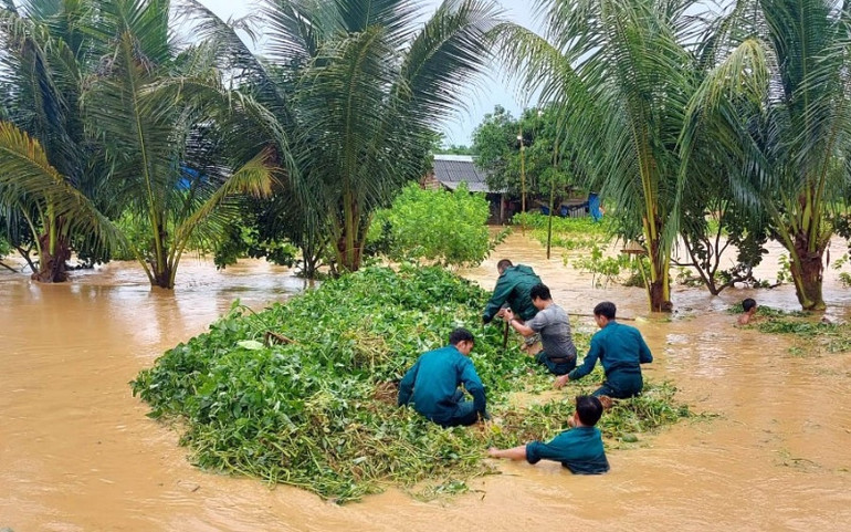 Mưa lớn kéo dài gây ngập nhiều diện tích cây trồng tại Lâm Đồng -0
