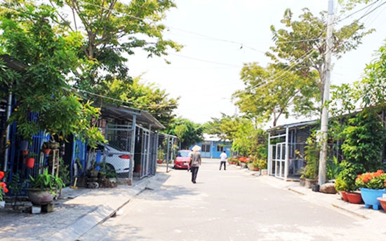 Hạnh phúc ở làng Vân -0