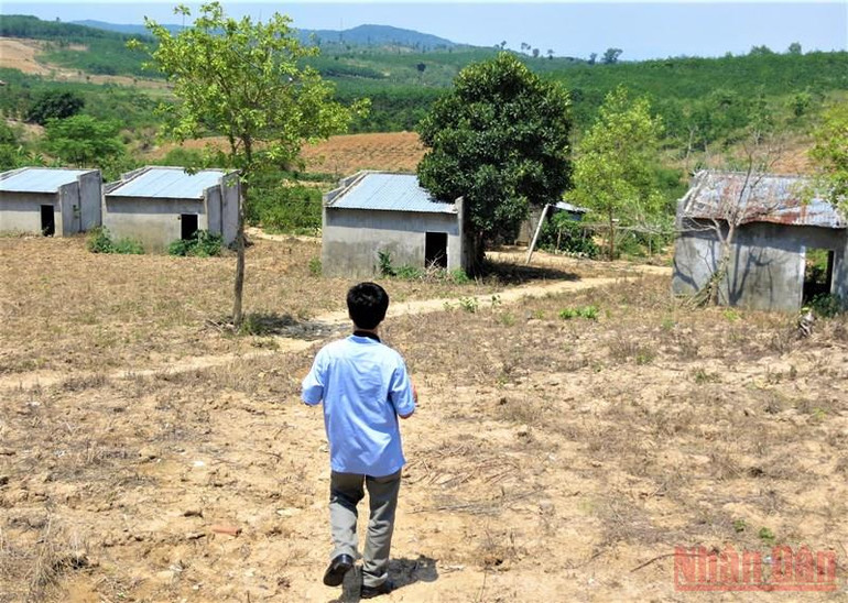 Để mất hơn 198 ha rừng phòng hộ đầu nguồn Krông Năng, trách nhiệm thuộc về ai? -0