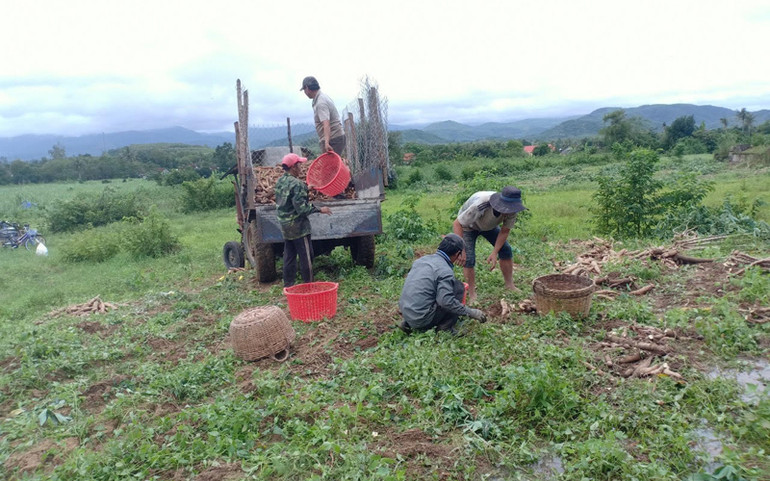 Nhiều nơi ngập sâu, huyện Đồng Xuân sẵn sàng phương án di dời dân -0