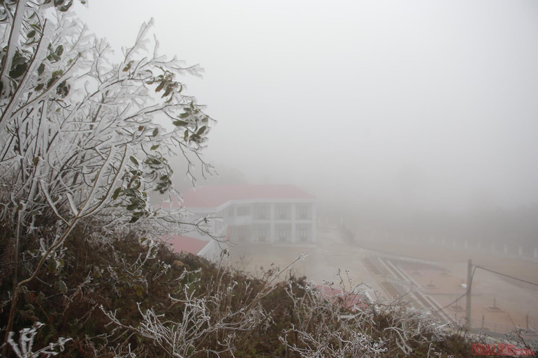 Cận cảnh băng tuyết phủ trắng rừng già Y Tý -0