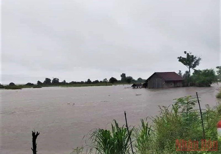 Do mưa lớn kéo dài khiến nước từ thượng nguồn đổ về lớn nhấn chìm nhiều diện tích cây trồng và gây ngập lụt nhiều nhà dân ở xã Cư K’bang, huyện Ea Súp. mualu4-1634379897811.jpeg