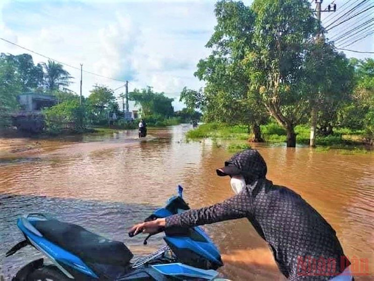 Nhiều tuyến đường giao thông liên xã trên địa bàn huyện Ea Súp bị ngập lụt gây chia cắt giao thông. Mưa lũ gây nhiều thiệt hại trên địa bàn huyện biên giới Ea Súp -0