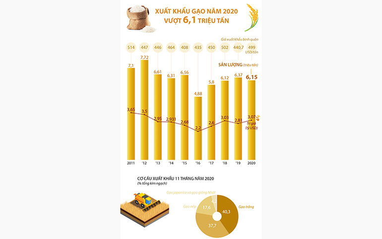 Hạt gạo Việt chinh phục 2021 -0