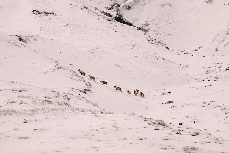 Thiên nhiên mùa đông tuyệt đẹp ở “xứ băng đảo” Iceland -0