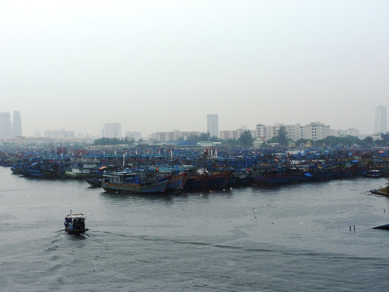 Đà Nẵng khẩn trương ứng phó bão số 5 -0