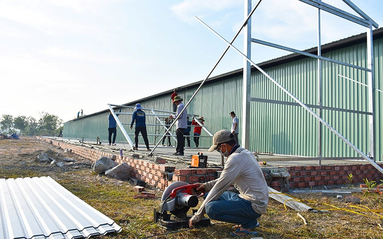 Kiên Giang mở rộng khu cách ly, đón kiều bào về quê ăn Tết -0