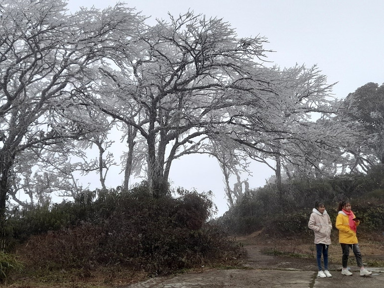 Băng giá phủ trắng xóa đỉnh Phja Oắc -0