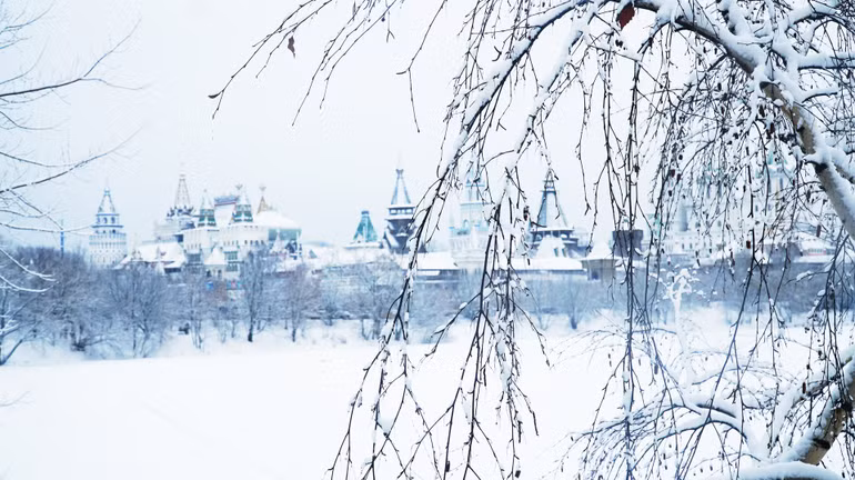 Năm mới đi chợ đồ cũ ở Moscow -0