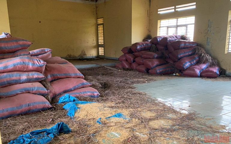 Những bất cập của Làng thanh niên lập nghiệp biên giới Ia Lốp -5