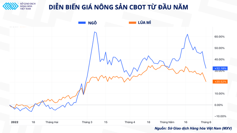 Nga thiết lập hành lang nhân đạo: Liệu nút thắt cho nguồn cung lúa mì sẽ được gỡ bỏ? ảnh 2 Nga thiết lập hành lang nhân đạo: Liệu nút thắt cho nguồn cung lúa mì sẽ được gỡ bỏ? -0