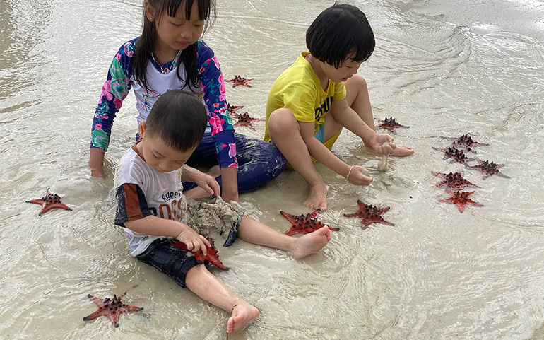 Mục sở thị “vương quốc sao biển” ở Phú Quốc ảnh 11