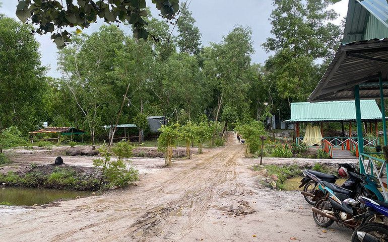 Mục sở thị “vương quốc sao biển” ở Phú Quốc ảnh 4