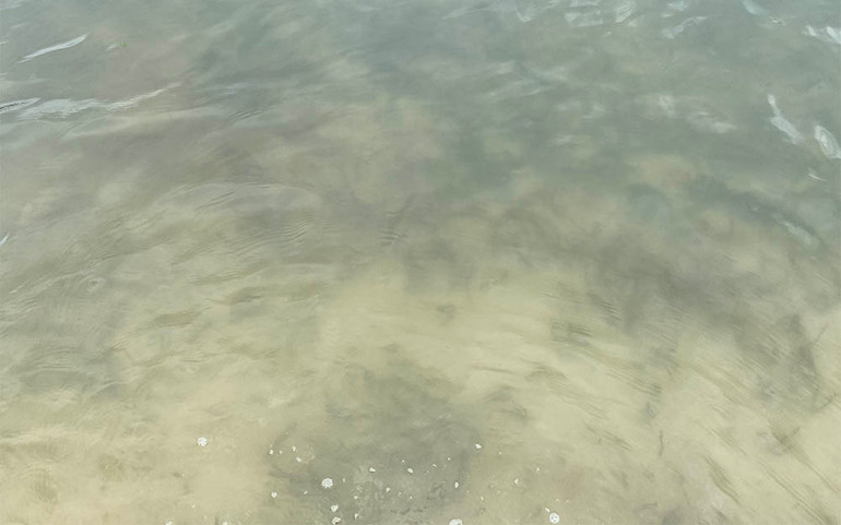 Mục sở thị “vương quốc sao biển” ở Phú Quốc ảnh 6