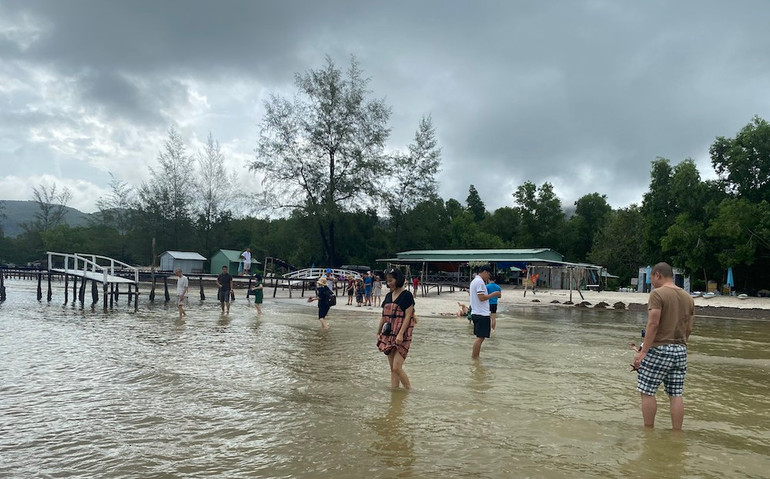 Mục sở thị “vương quốc sao biển” ở Phú Quốc ảnh 8