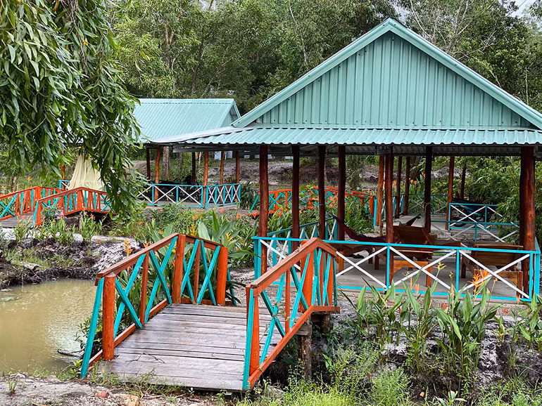 Mục sở thị “vương quốc sao biển” ở Phú Quốc ảnh 19