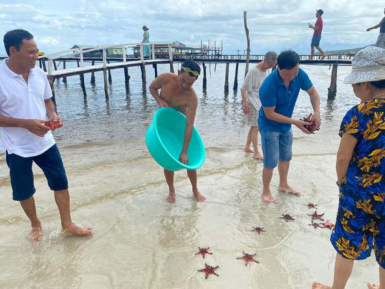 Mục sở thị “vương quốc sao biển” ở Phú Quốc ảnh 9