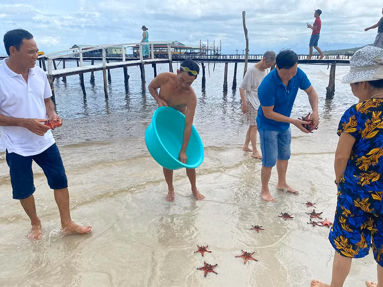 Mục sở thị “vương quốc sao biển” ở Phú Quốc ảnh 9