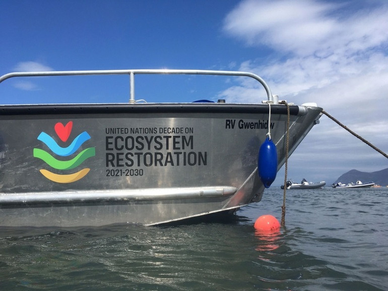 Cuộc đua 10 năm để cứu lấy Trái đất -0