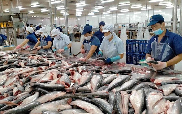 VASEP cảnh báo nguy cơ gãy đổ chuỗi sản xuất, xuất khẩu thủy sản -0