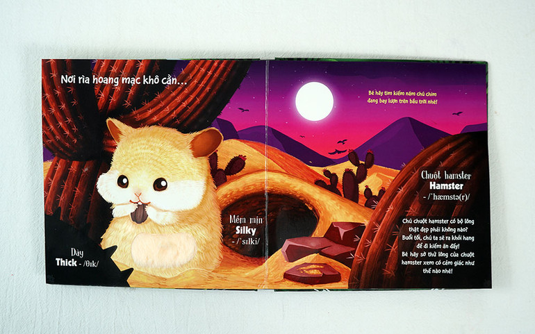 Bé đọc sách bằng… tay -0