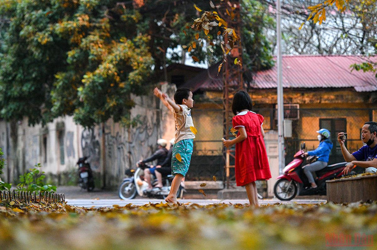 Hà Nội đẹp nao lòng mùa lá rụng tháng 3 -0