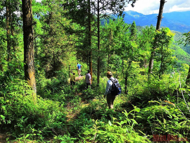 Cận cảnh “siêu phẩm” ruộng bậc thang khắc trên đá Mù Cang Chải -0