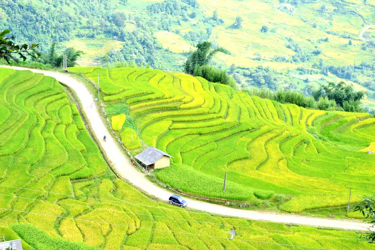 Mùa vàng trên rẻo cao -4