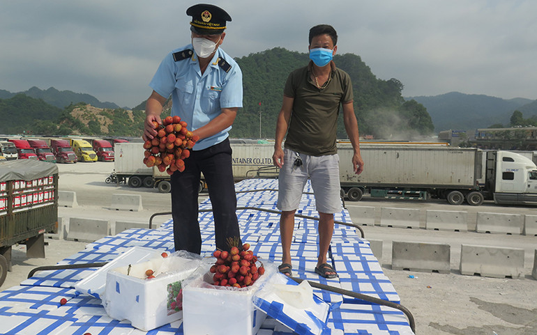 Gỡ khó cho xuất khẩu nông sản sang Trung Quốc -0