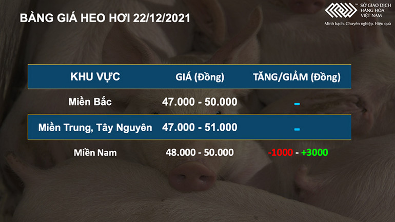 Bảng giá heo hơi 22/12. Giá khô đậu tương tăng vọt lên mức cao nhất nửa năm -0