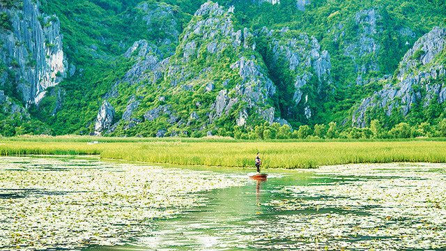 Khua lại mái chèo ảnh 4