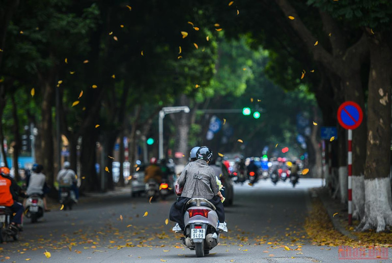 Hà Nội đẹp nao lòng mùa lá rụng tháng 3 -0