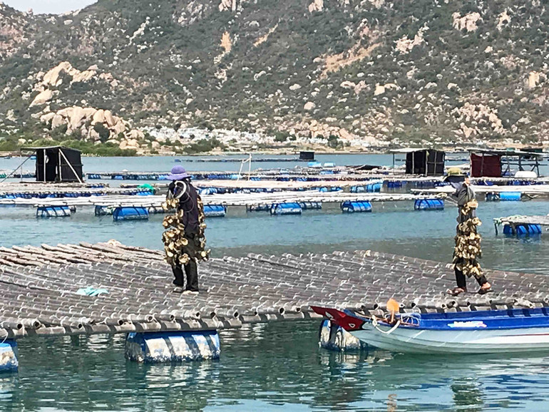 Sắc mới ở Đầm Nại -0