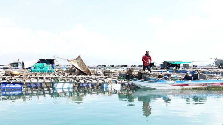 Sắc mới ở Đầm Nại -0