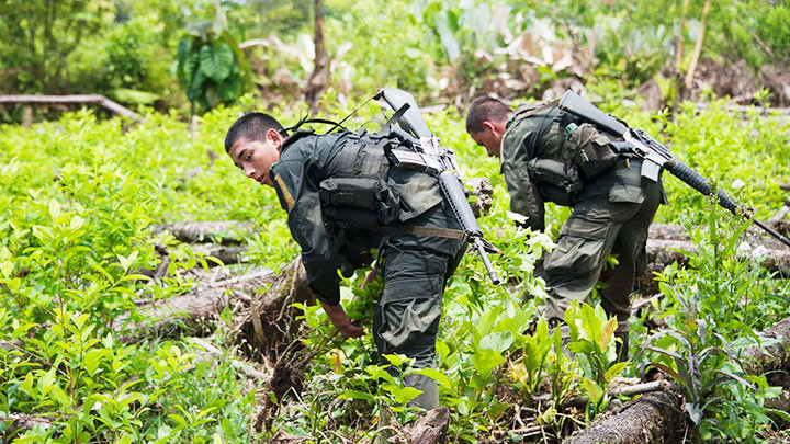 Cuộc chiến chống ma túy tại Nam Mỹ -0