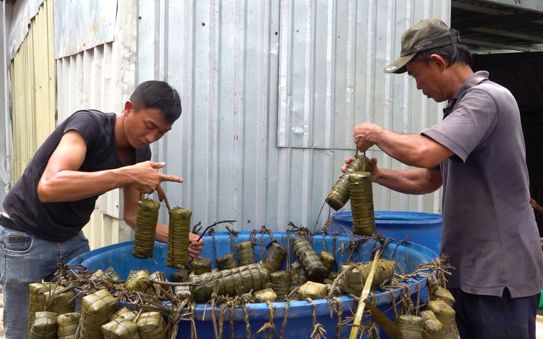 Vớt bánh tét. Người dân Sóc Trăng gói bánh tét gửi tặng vùng lũ -0