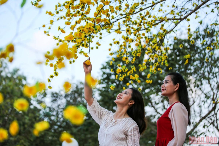 Mùng 4 Tết, du khách tấp nập “cưỡi mây” vãn cảnh đỉnh Núi Sam -0