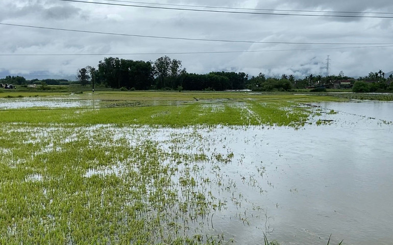 Quảng Ngãi cấm tàu, thuyền ra biển hoạt động từ 15 giờ ngày 1/4 -0