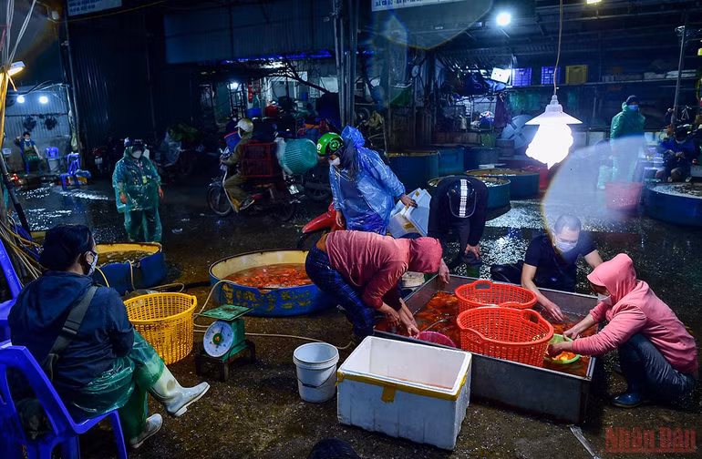 Chợ cá Yên Sở tấp nập, ngập sắc đỏ vàng Tết ông Công ông Táo -0