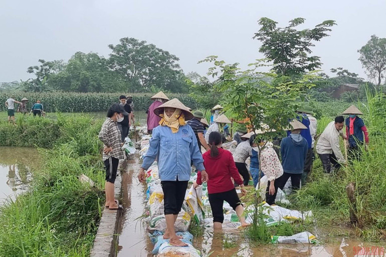 Người dân xã Sơn Lôi đắp bờ bao ngăn nước tràn vào ruộng ngô. (Ảnh: HỒNG HÀ) Vĩnh Phúc thiệt hại nặng nề do mưa -0