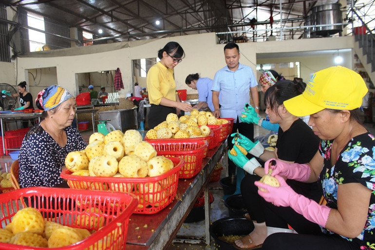 Thanh Hóa trợ giúp thanh niên khởi nghiệp, lập nghiệp -0