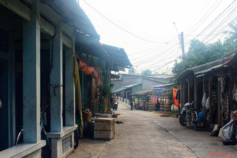 Vườn cò Bằng Lăng - sân chim lớn nhất đồng bằng sông Cửu Long -1