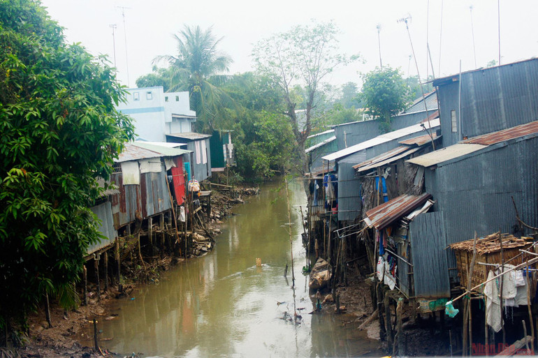 Vườn cò Bằng Lăng - sân chim lớn nhất đồng bằng sông Cửu Long -0